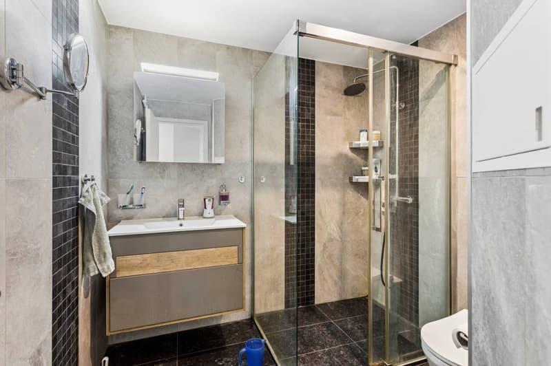 Magnifique appartement de 4,5 pièces rénové (10)