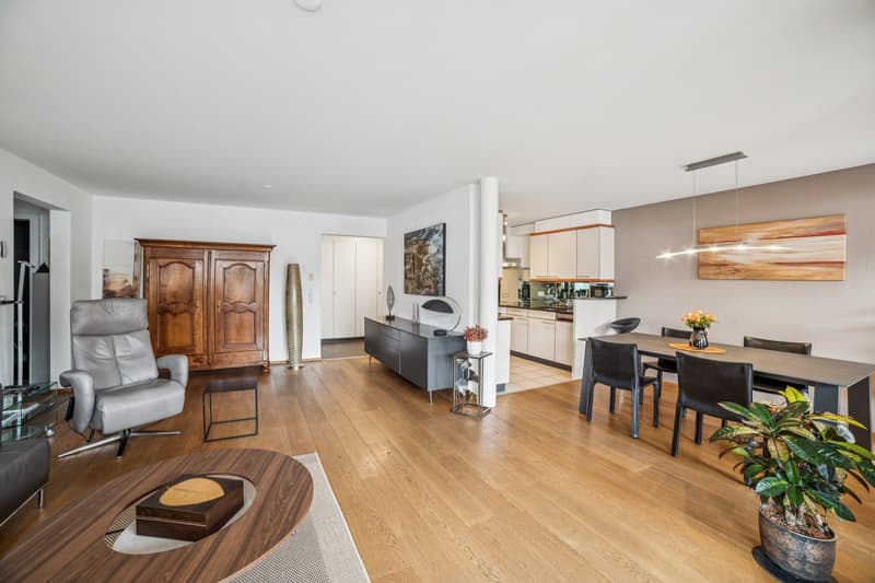 Apartment 3.5 rooms with magnificent terrace (2)