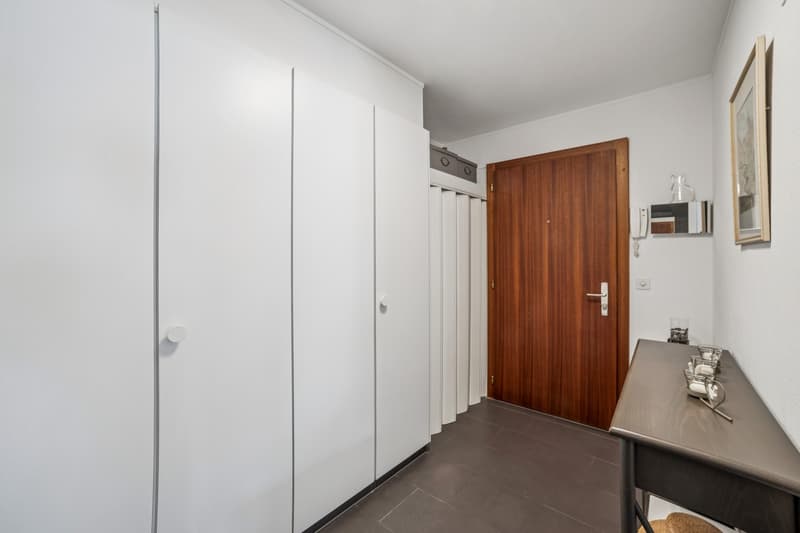 Apartment 3.5 rooms with magnificent terrace (6)