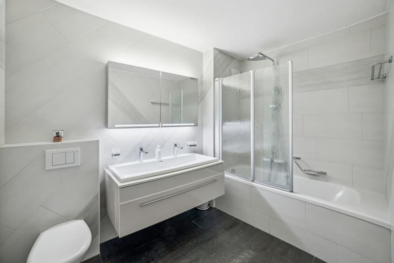 Apartment 3.5 rooms with magnificent terrace (5)