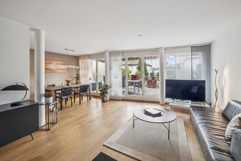 Apartment 3.5 rooms with magnificent terrace (1)