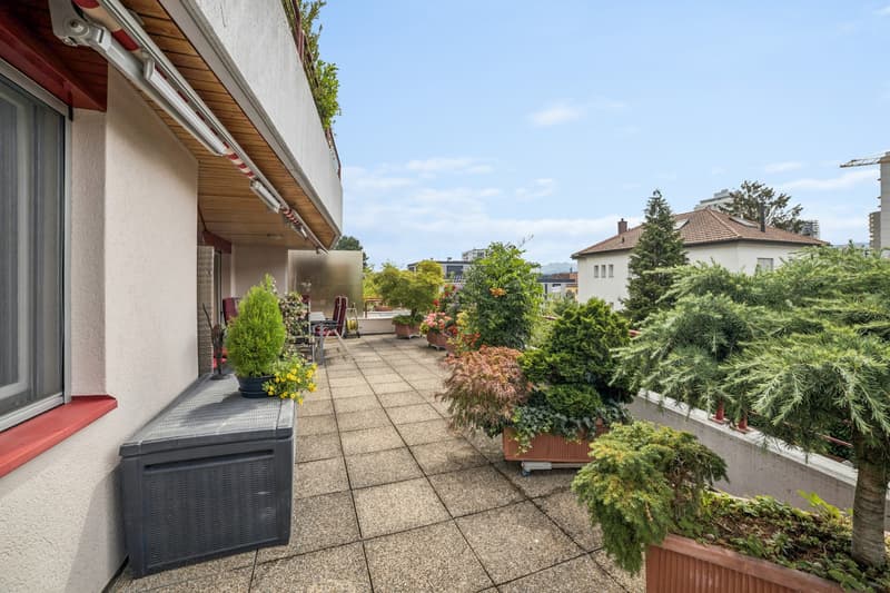 Apartment 3.5 rooms with magnificent terrace (7)