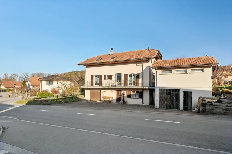 Family house with large garden in a peaceful setting in Massonnens (1)