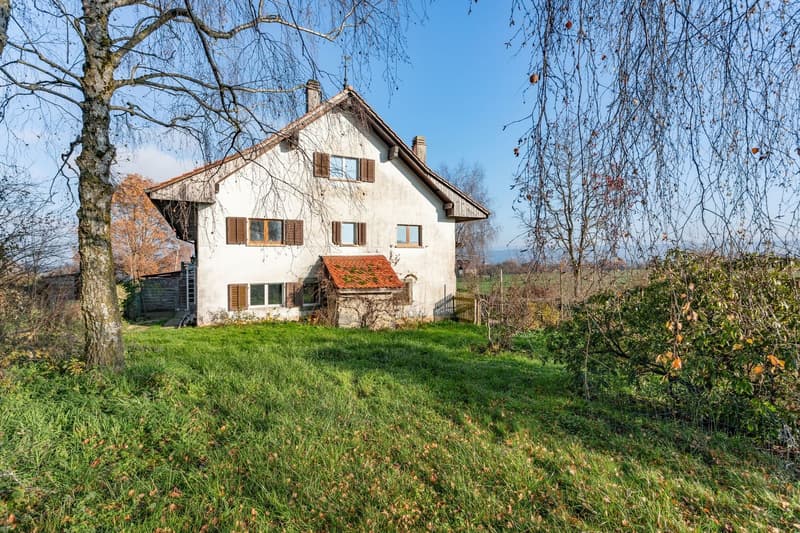 Belle ferme jumelée dans un cadre verdoyant en campagne fribourgeoise (3)