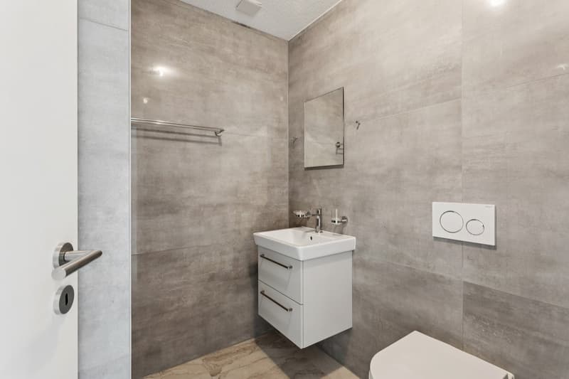 Magnifique maison neuve contiguë de 5,5 pièces en extrémité (5)