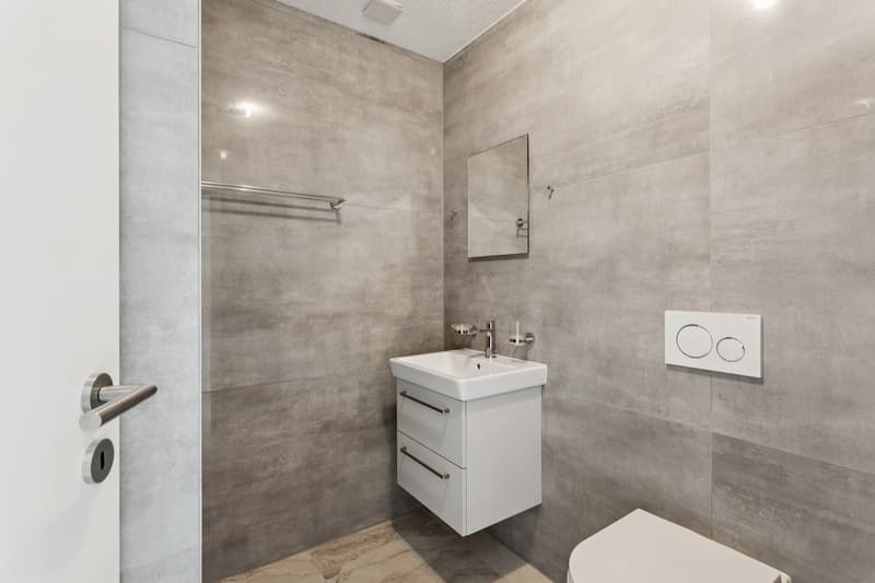 Magnificent new semi-detached house with 5.5 rooms at the end (6)