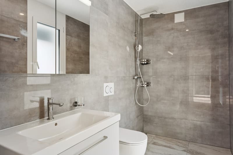 Magnificent new semi-detached house with 5.5 rooms at the end (9)
