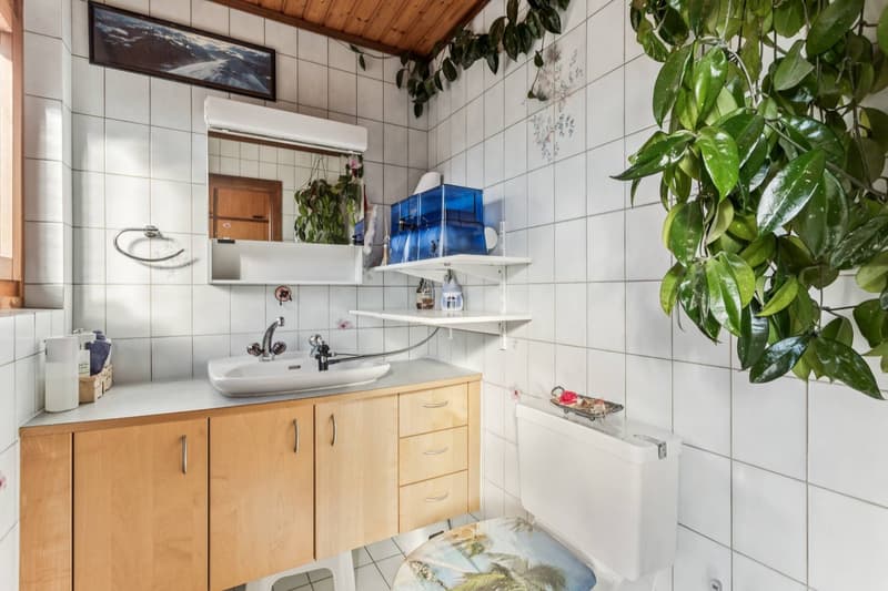 Casa familiare con ampio giardino e potenziale di ampliamento (7)
