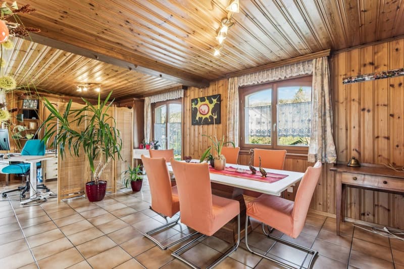 Casa familiare con ampio giardino e potenziale di ampliamento (5)
