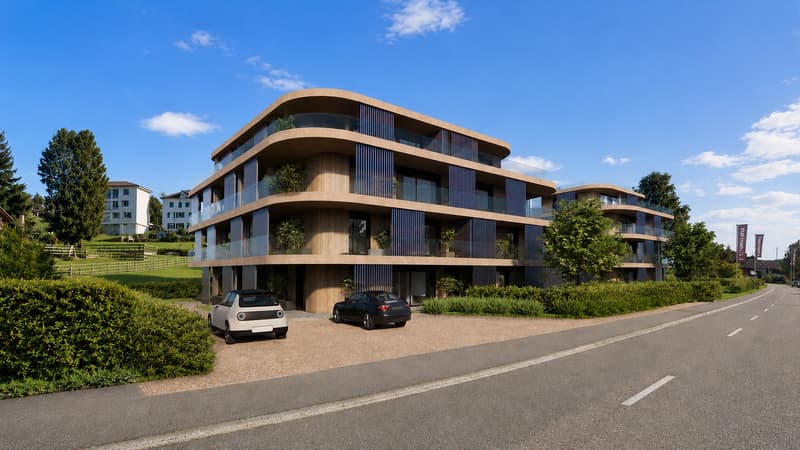 Magnifique appartement de 4.5 pièces de 95 m² habitables avec terrasse (5)