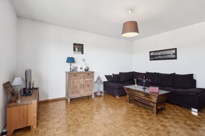 Appartement traversant avec vue sur les montagnes (5)