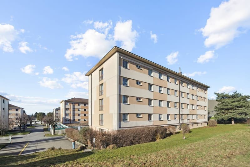 Appartement traversant avec vue sur les montagnes (1)