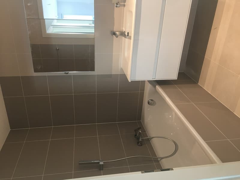 Magnifique appartement de 3.5 pièces avec balcon à Monthey (3)