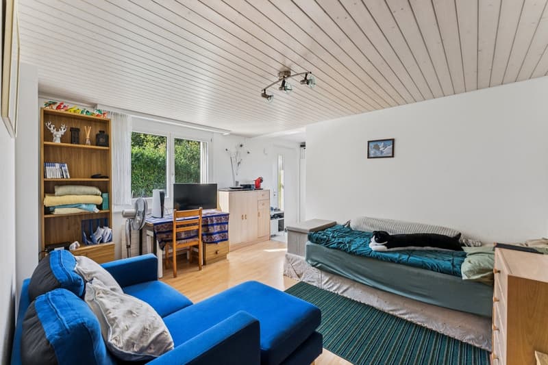Belle maison de deux appartements avec jardin (12)