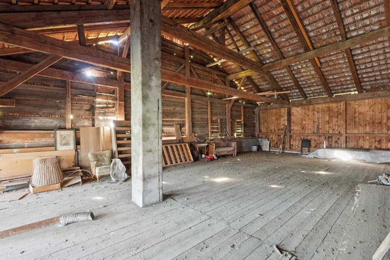 Ancienne ferme fribourgeoise au coeur du village (13)