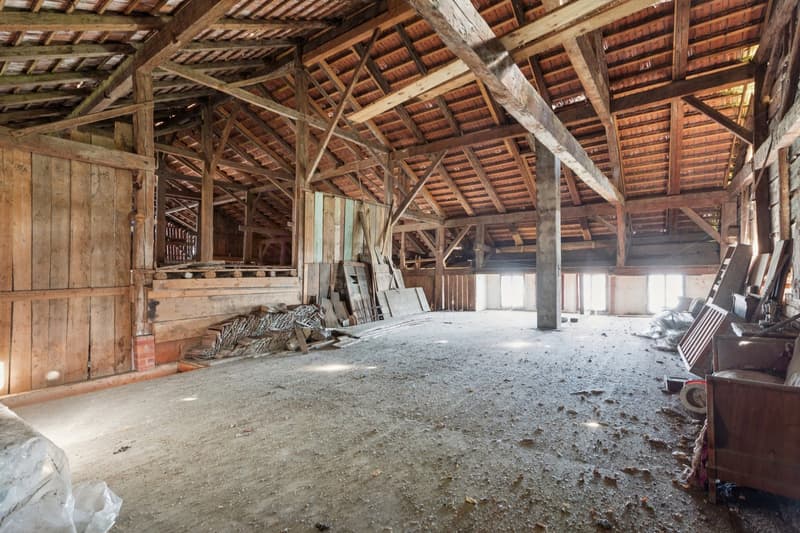 Ancienne ferme fribourgeoise au coeur du village (12)