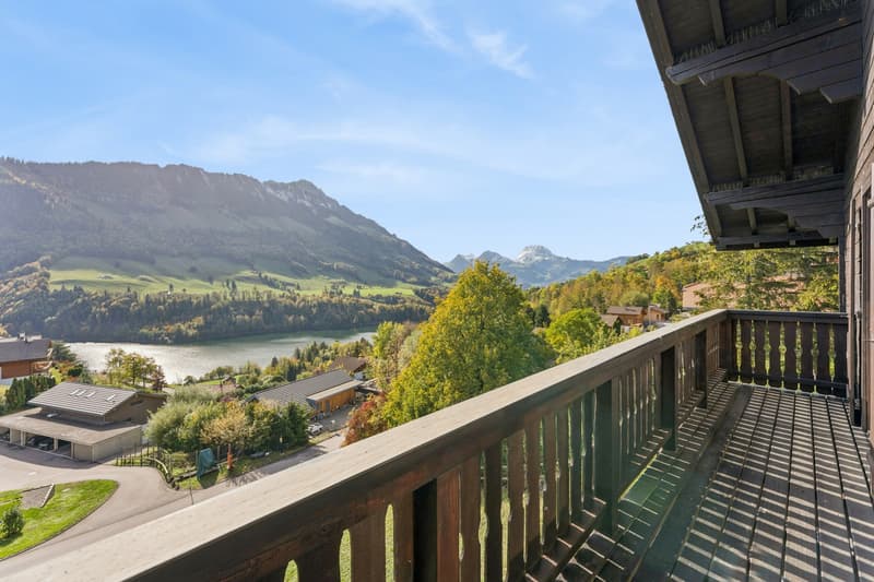 Chalet de deux appartements au panorama exceptionnel (1)