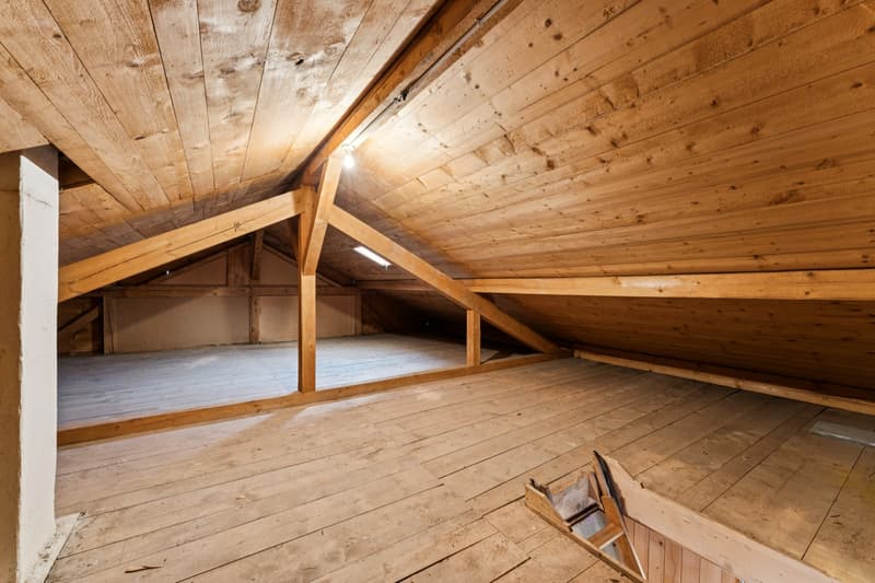 Chalet de deux appartements au panorama exceptionnel (12)