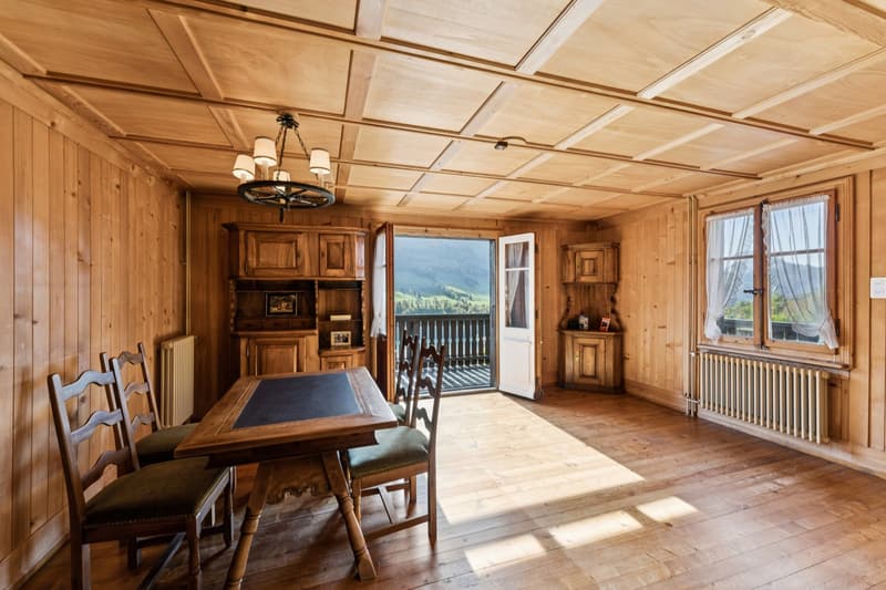 Chalet de deux appartements au panorama exceptionnel (6)