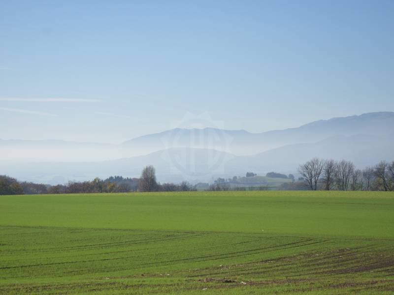Bezauberndes Appartement - Burtigny (1)