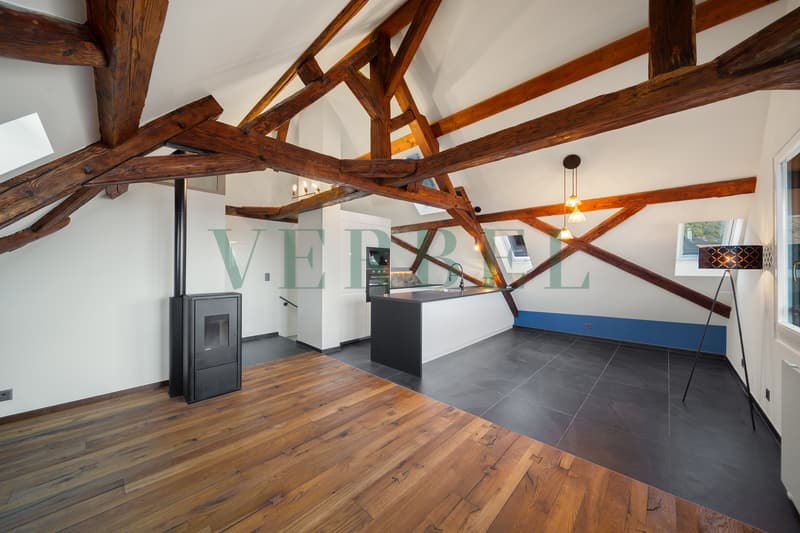 Maison de deux appartements au centre de St-Gingolph (3)