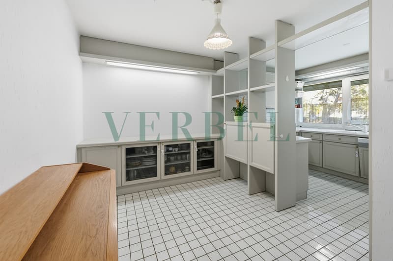 Duplex en première ligne du lac (3)