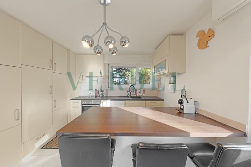 Charmante maison jumelée de 5.5 pièces avec grand jardin plat (3)