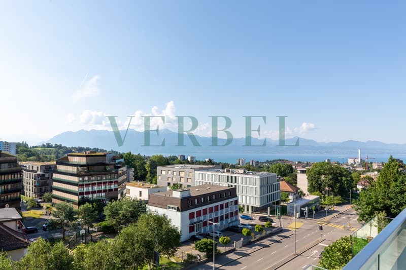 Attique de 4.5 pièces proche du centre de Lausanne (8)