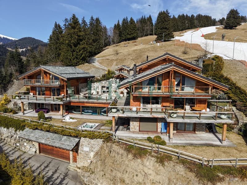 Domaine d'exception - Vue panoramique & ski-in / ski-out (3)