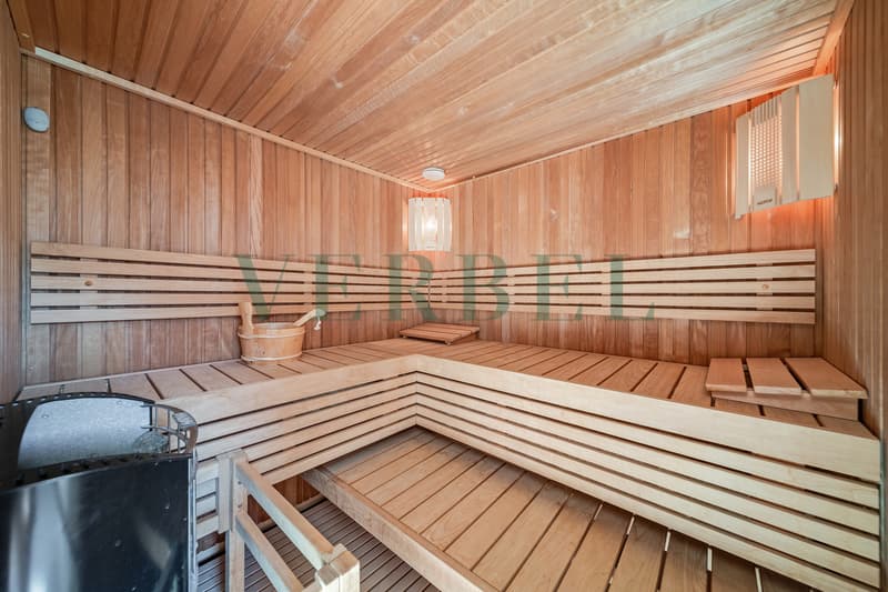 Duplex en attique avec vue exceptionnelle sur lac et montagnes (9)