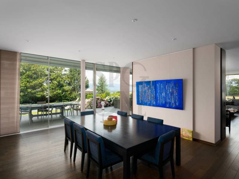Magnifique villa - Cologny (9)