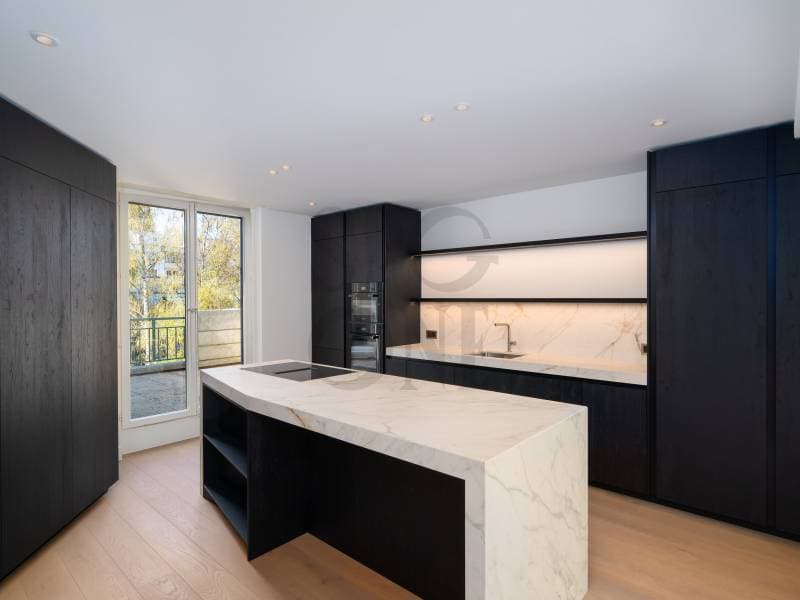 Attic turnkey, fully renovated in Champel (1)