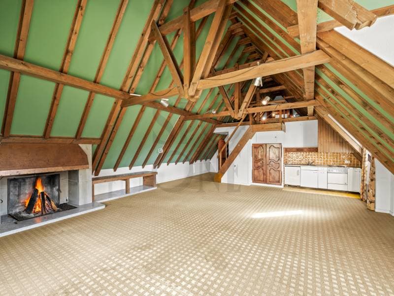 Master property in the heart of a green oasis (8)