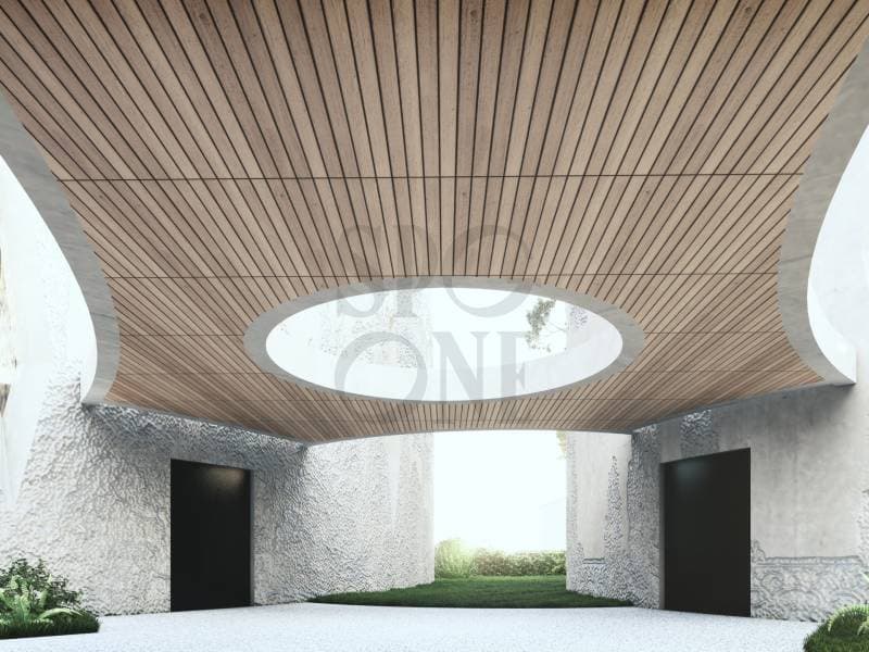 Hôtel Particulier 3 : Projet exclusif sur les hauteurs de Cologny (4)