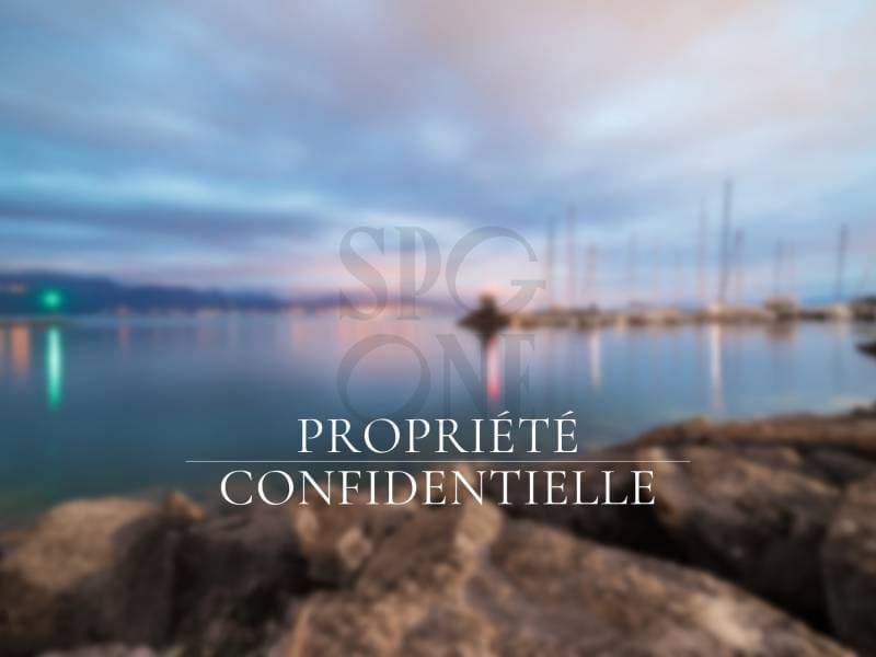 Exceptional Apartment - Geneva (2)