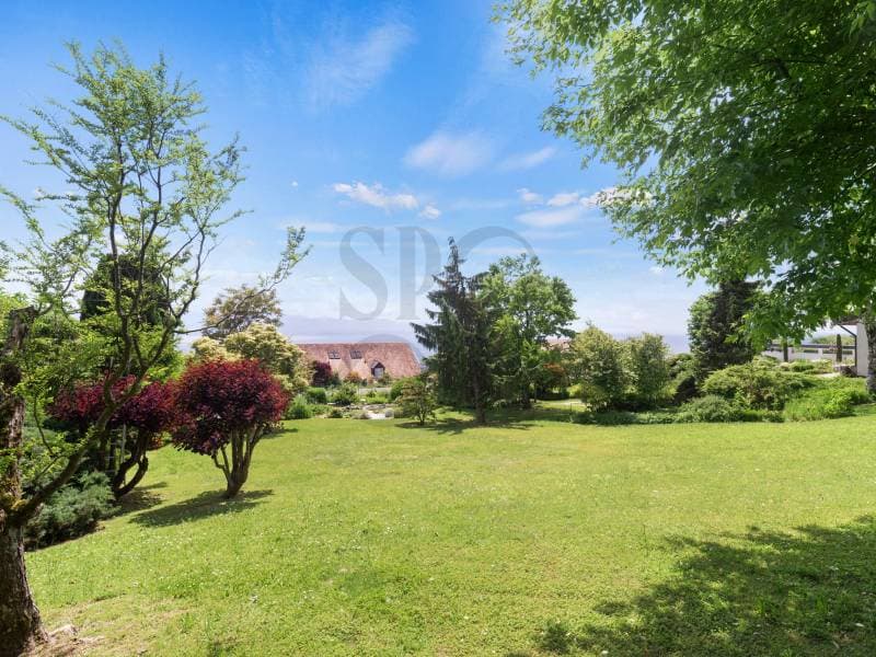 Property with great construction potential (4)