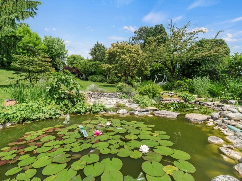 Property with great construction potential (3)
