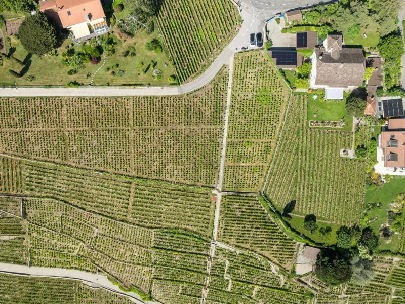 Elégante maison d'inspiration bourgeoise au coeur du Lavaux (11)