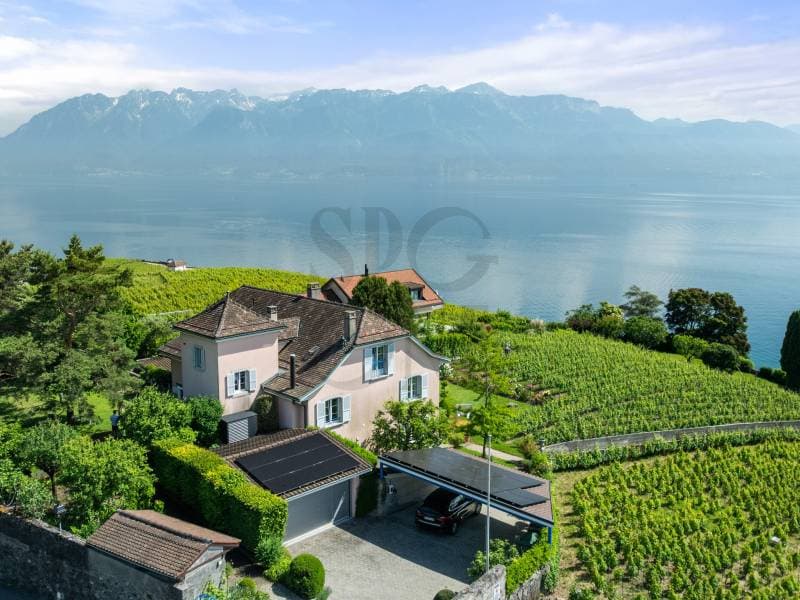Elegant bourgeois-inspired house in the heart of Lavaux (1)