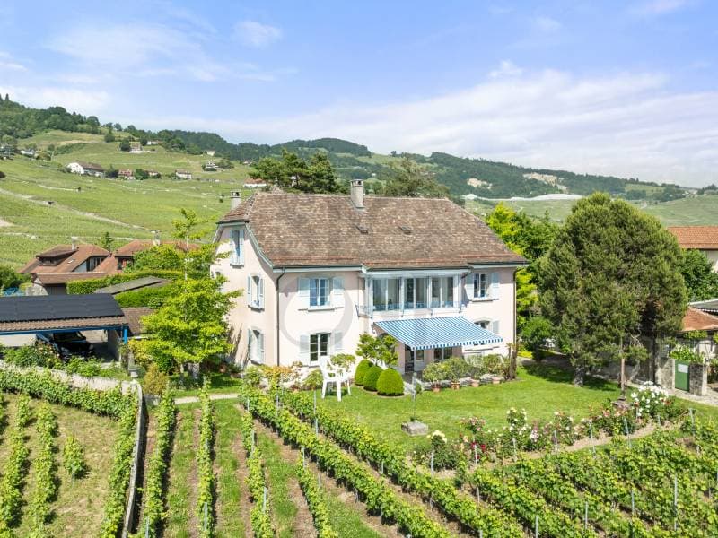 Elégante maison d'inspiration bourgeoise au coeur du Lavaux (10)