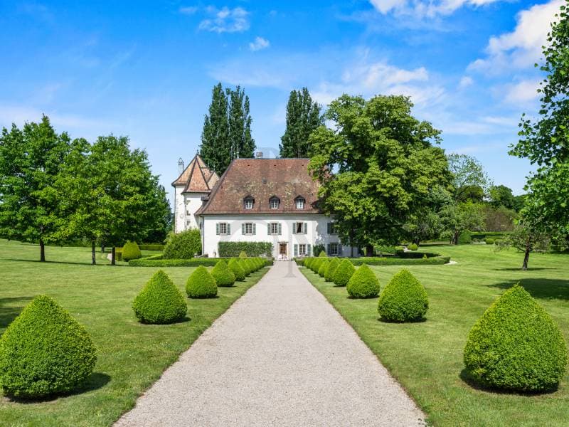 Exclusivité : Domaine historique intégralement restauré (12)
