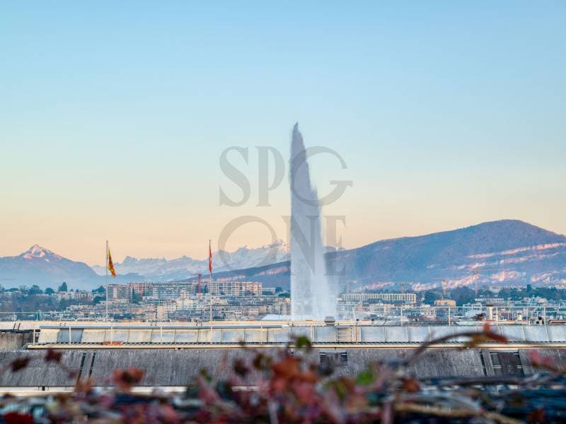 Prestigieux triplex avec vues imprenables sur le lac et les Alpes (11)
