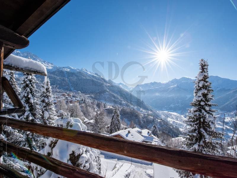 Chalet typique avec vue à couper le souffle (4)