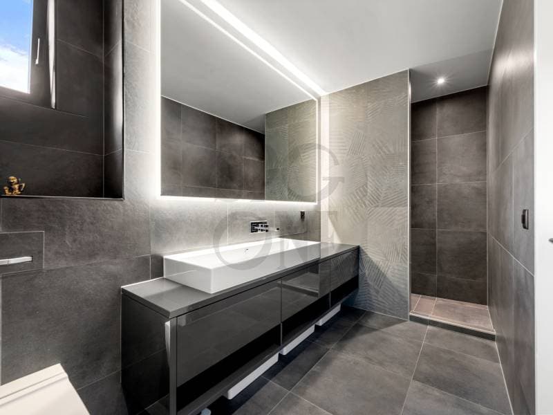 Entre design contemporain et horizon alpin (7)