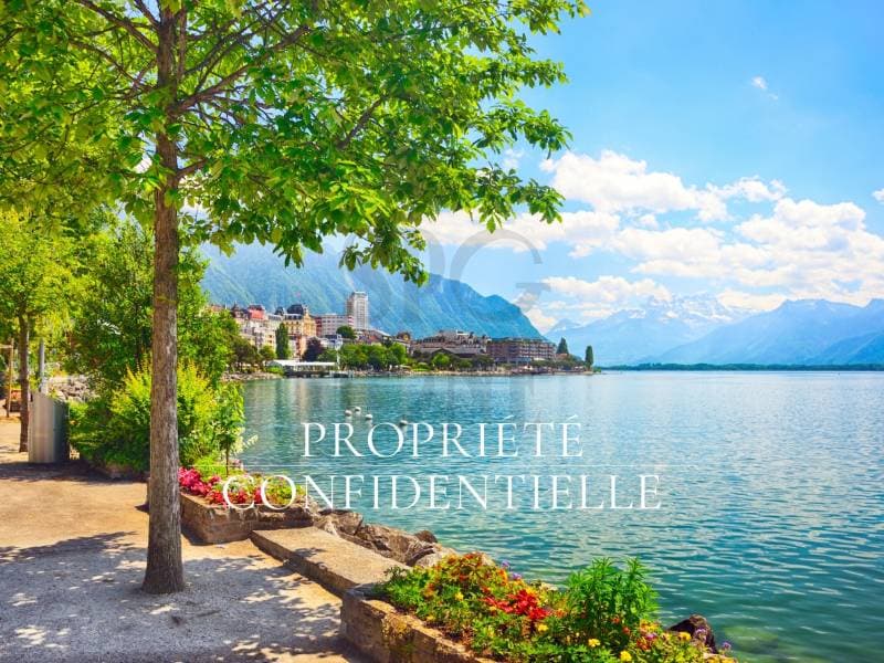 Appartement rénové en première ligne du lac (2)