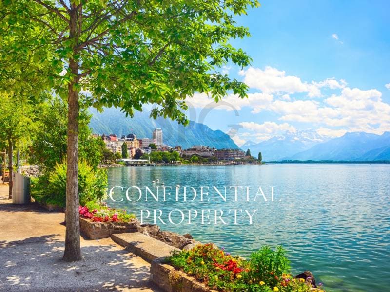 Appartement rénové en première ligne du lac (1)
