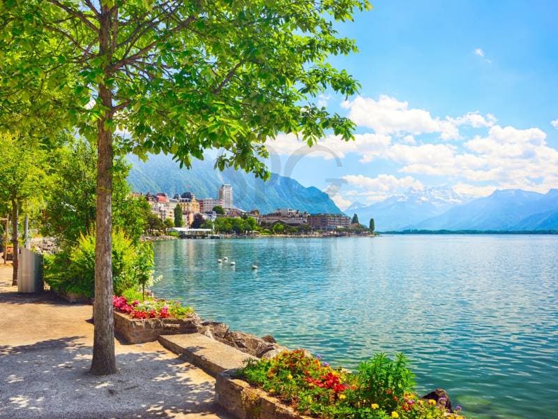 Appartement rénové en première ligne du lac (3)