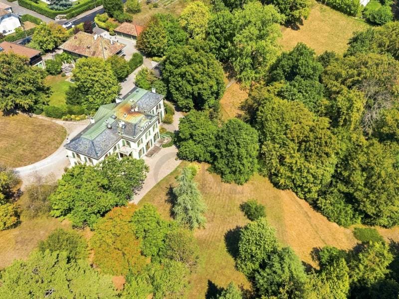Villa ensoleillé - Chêne-Bougeries (2)