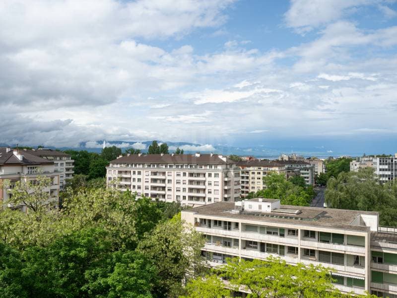 Magnifique appartement - Genève (12)