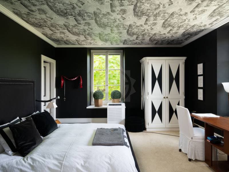 Magnificent villa - Vandoeuvres (7)